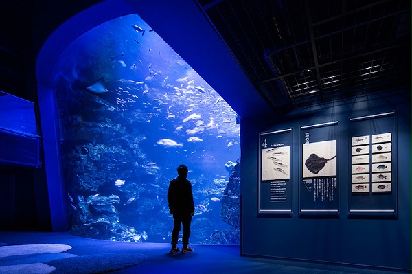 京都水族馆标识导视系统设计3